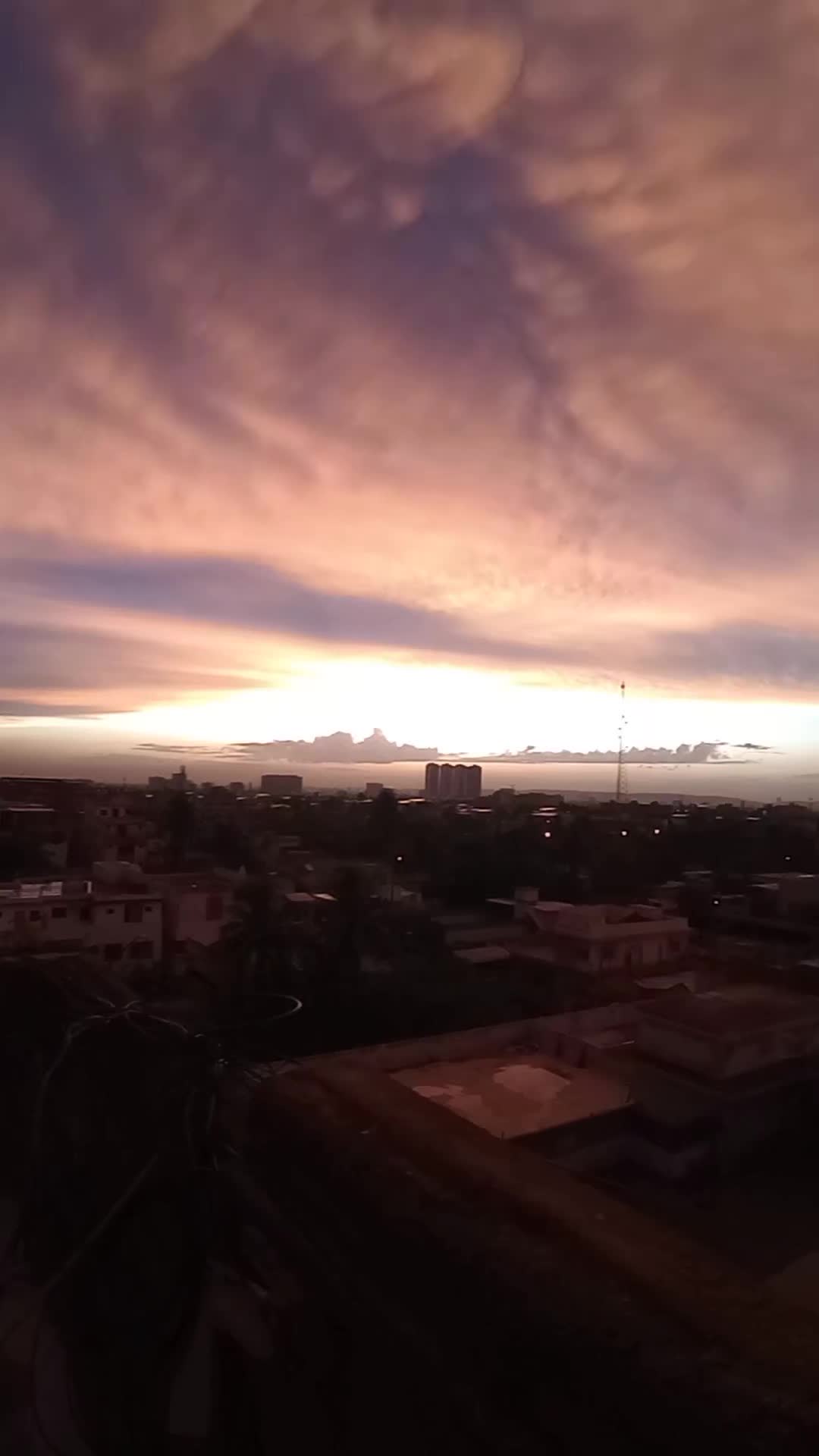 @Haya