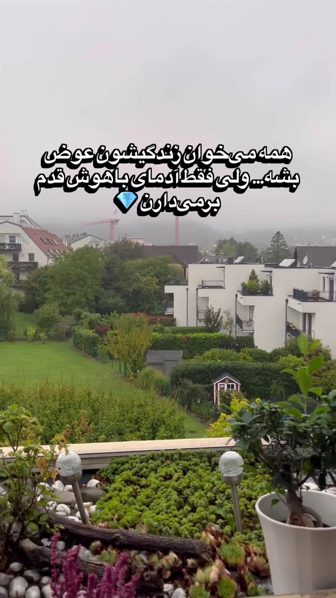 @Elnaz