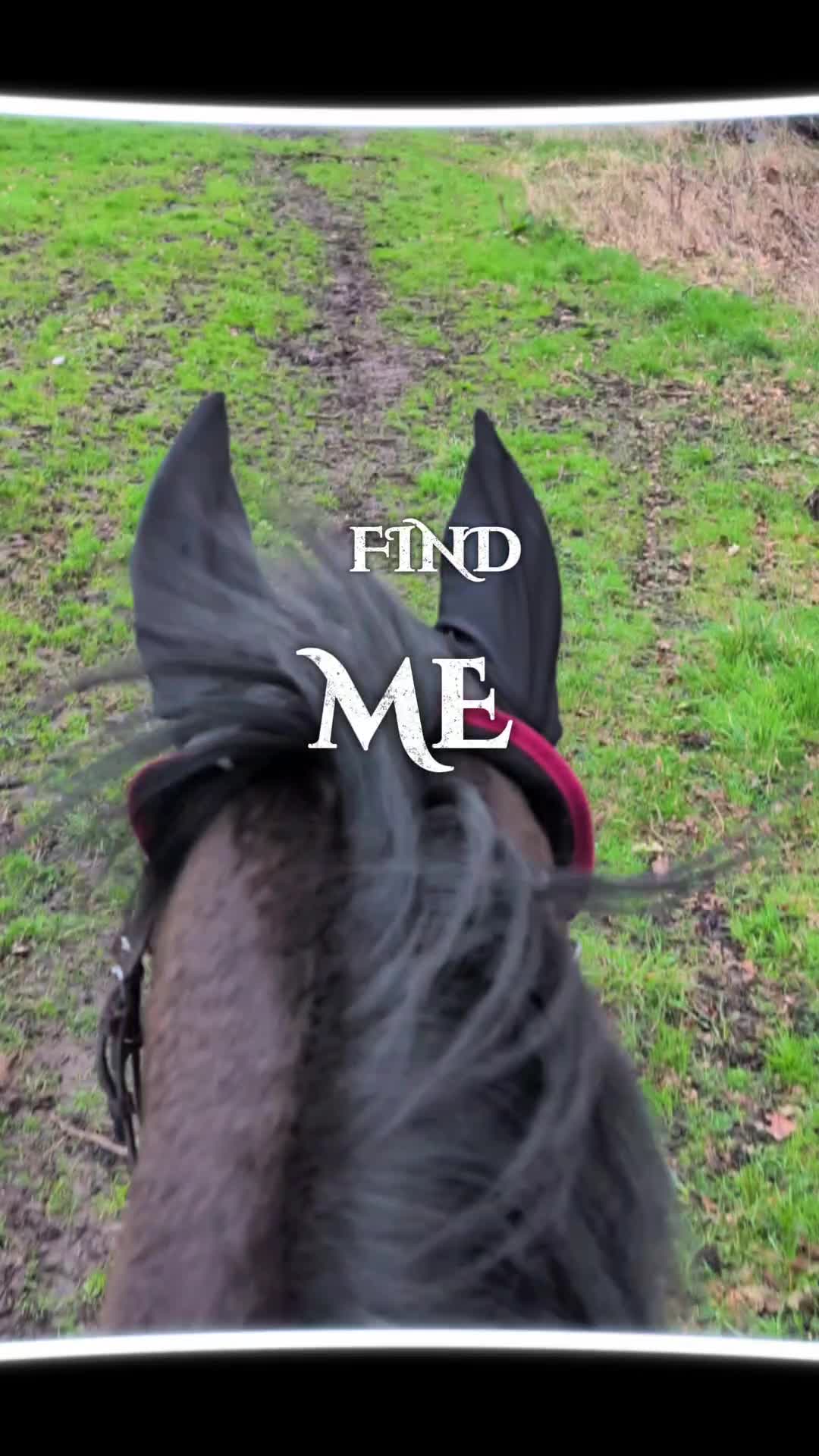 @tolenevdm