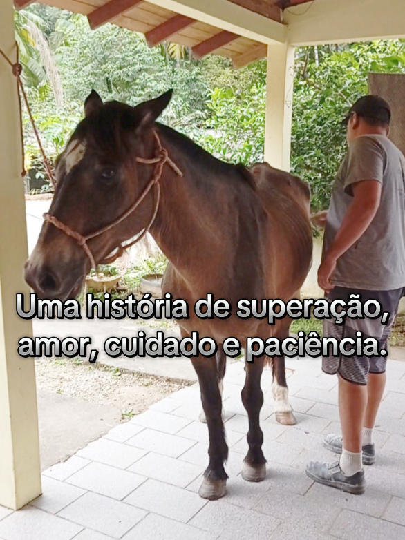 @Thandara Moreira Rugbi