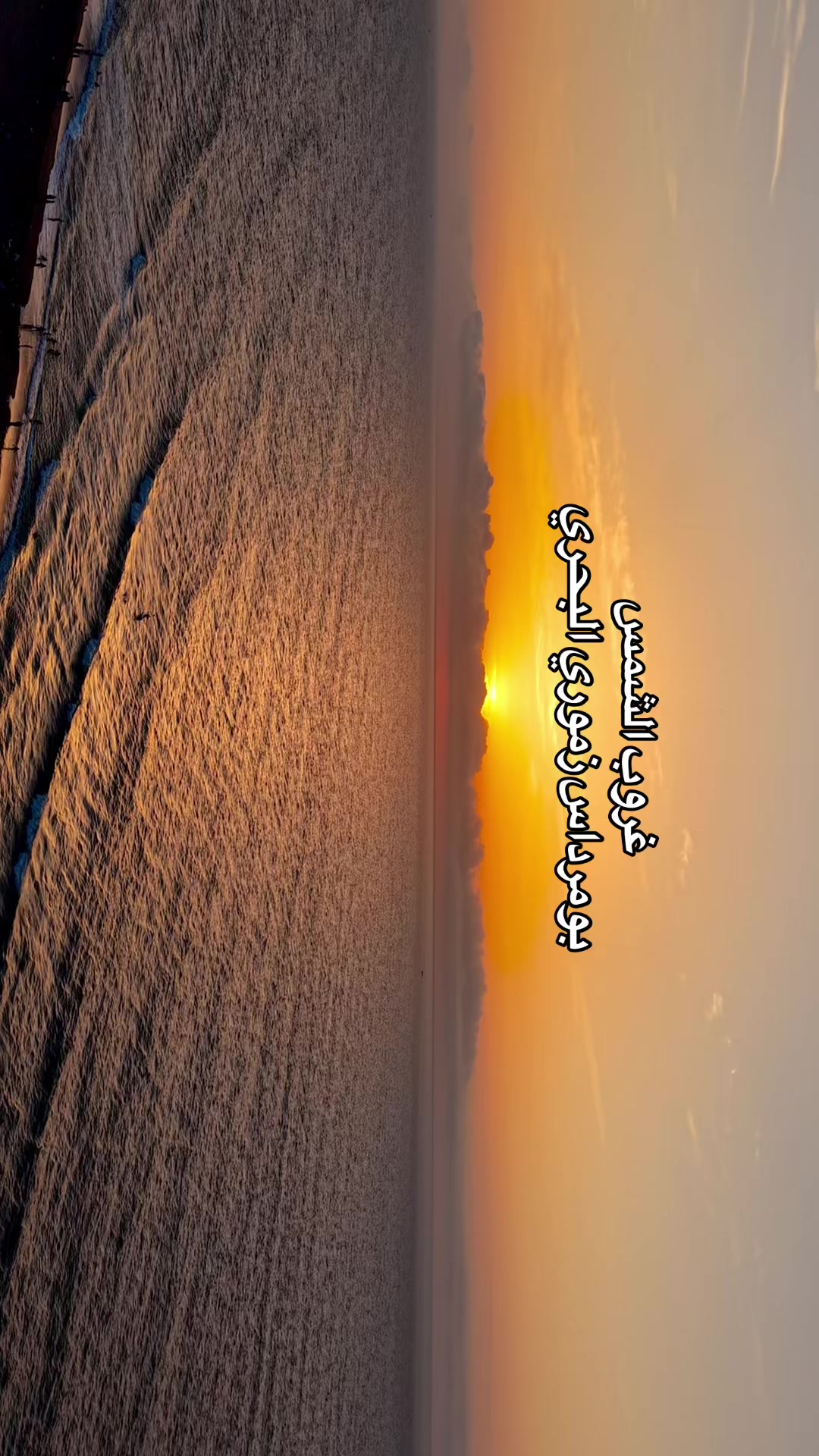 @SOUNDOUS CAMP