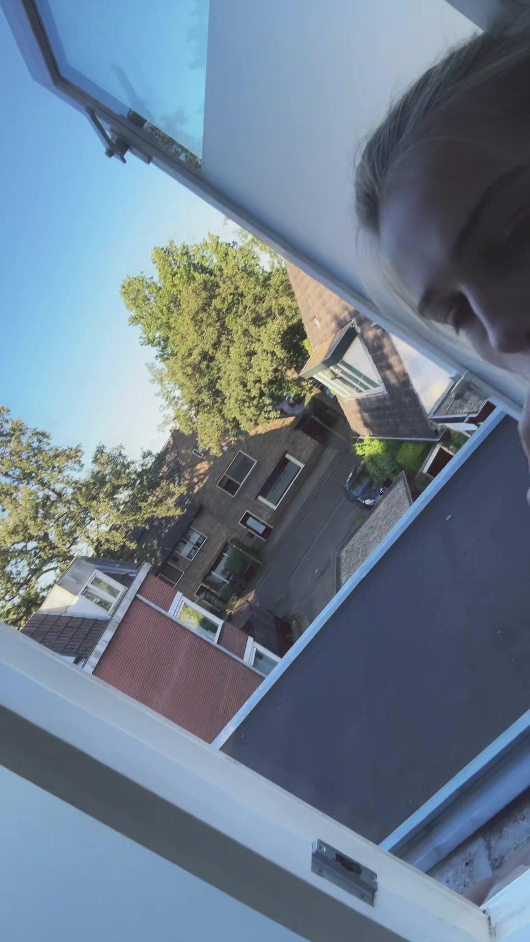 @я васипл