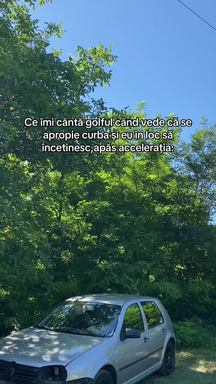 @gabitzu