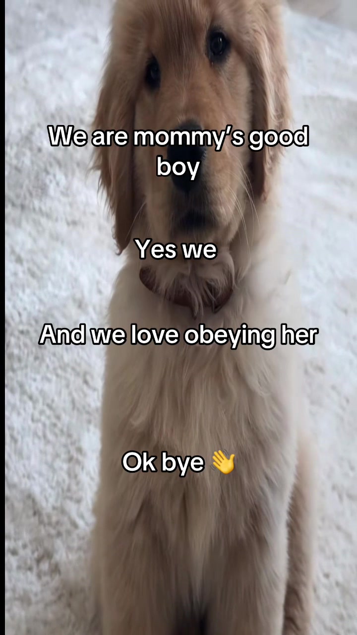 @𝖺𝗅𝗓𝗆𝖺𝗑𝗑𝖾𝗋