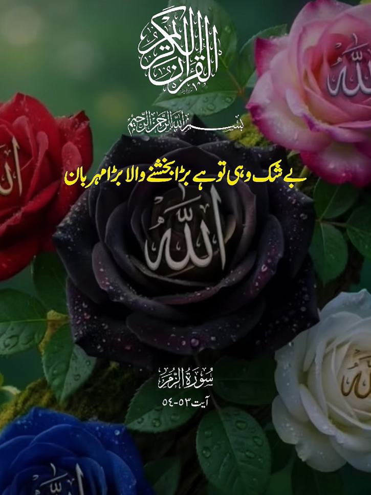 @woh jo rab hai woh  sab hai