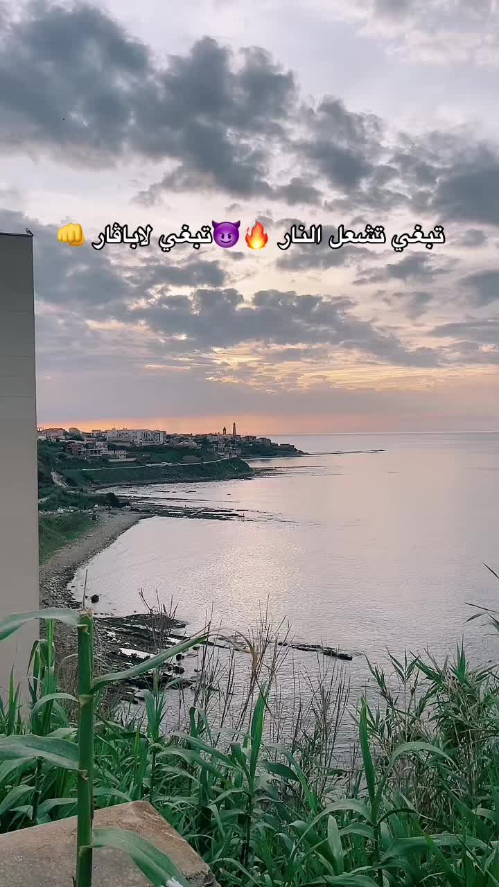 @🎻👑الــرَّاي الخـَـاثــر👑🎻