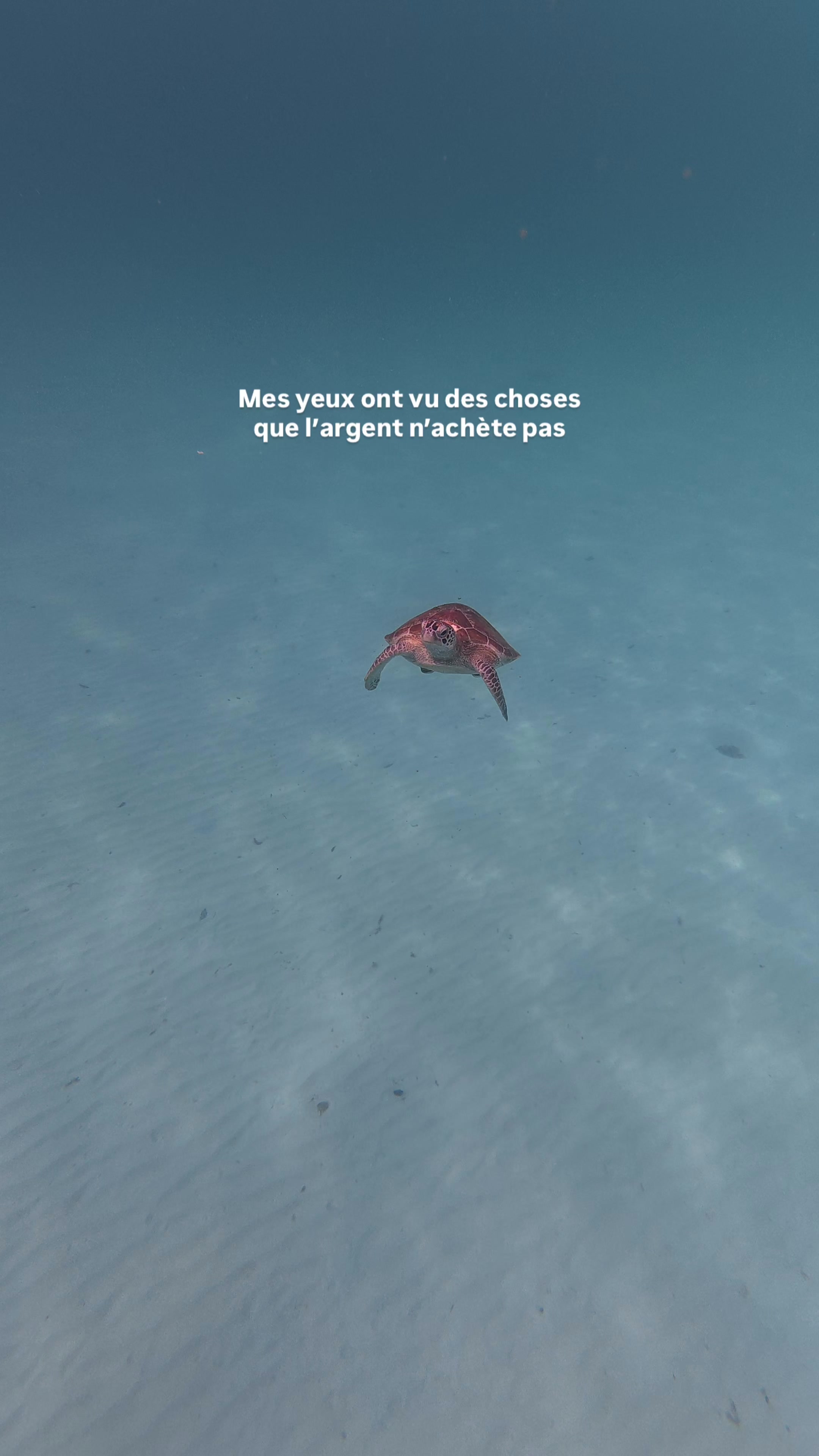 @Manon 🌺 Conseils voyage & UGC