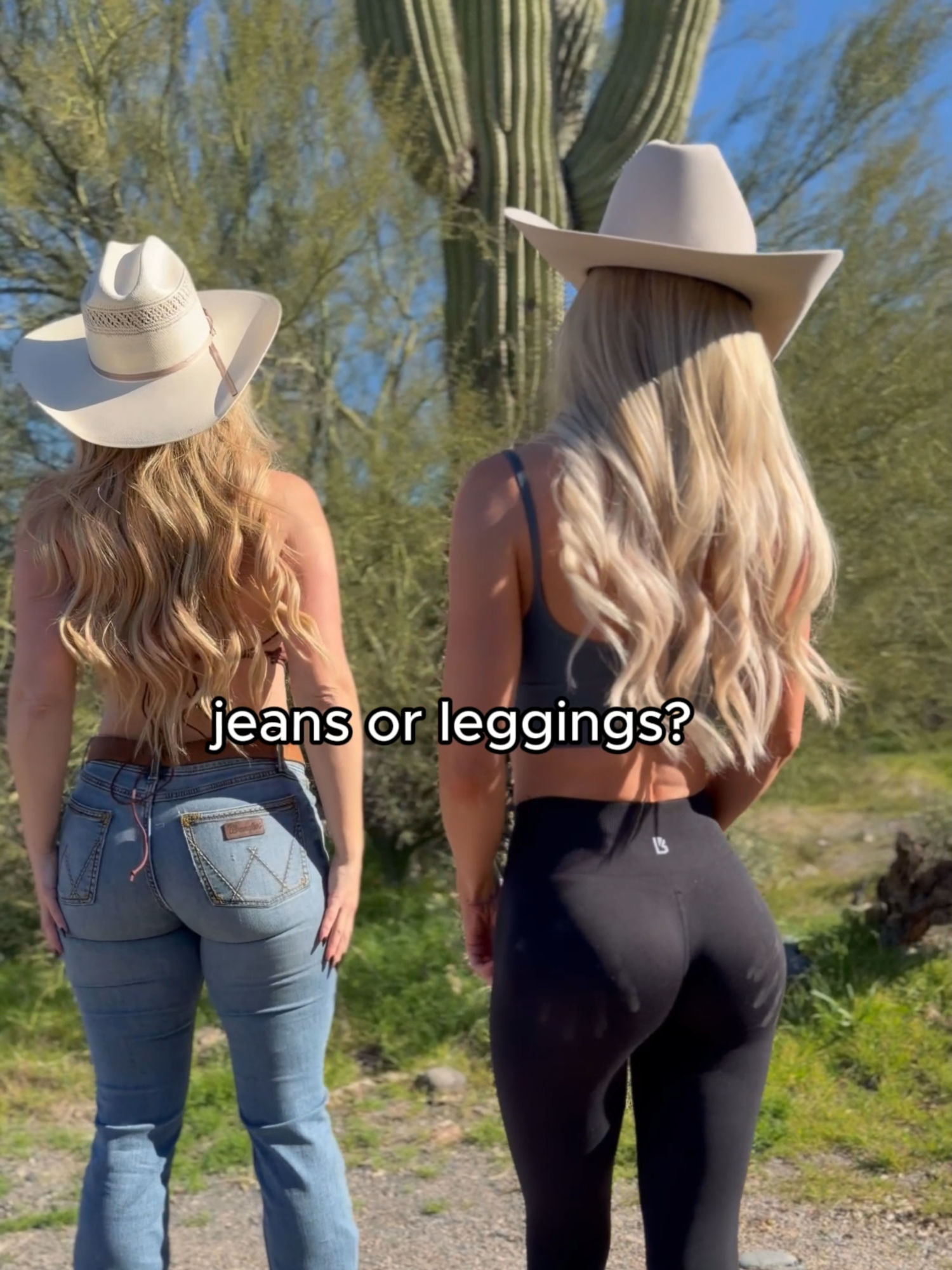 @Taylor Breesey