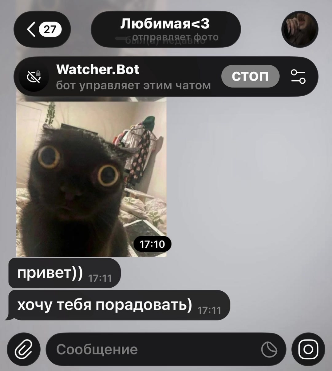@Watcher.Bot