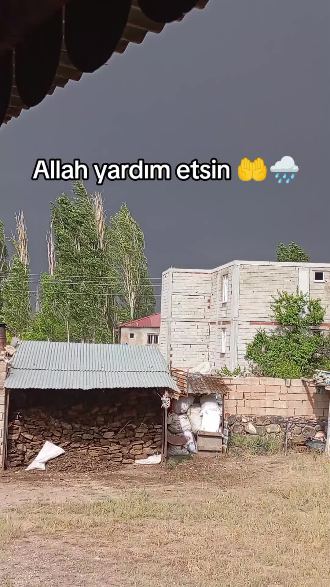 @bazidli adem04