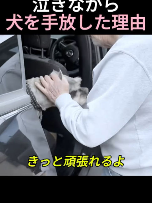 @5qpjptro