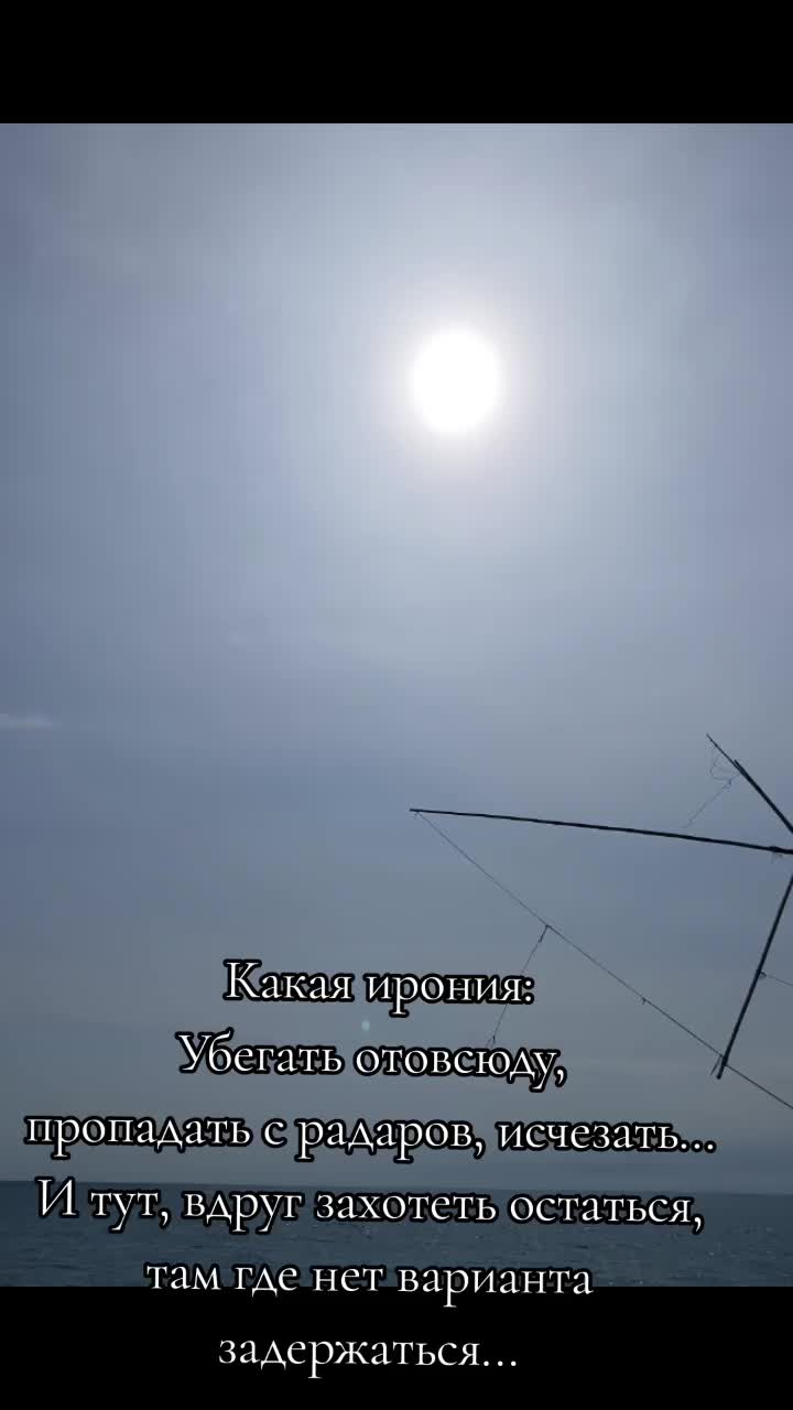 @Elena_Sychеva350711