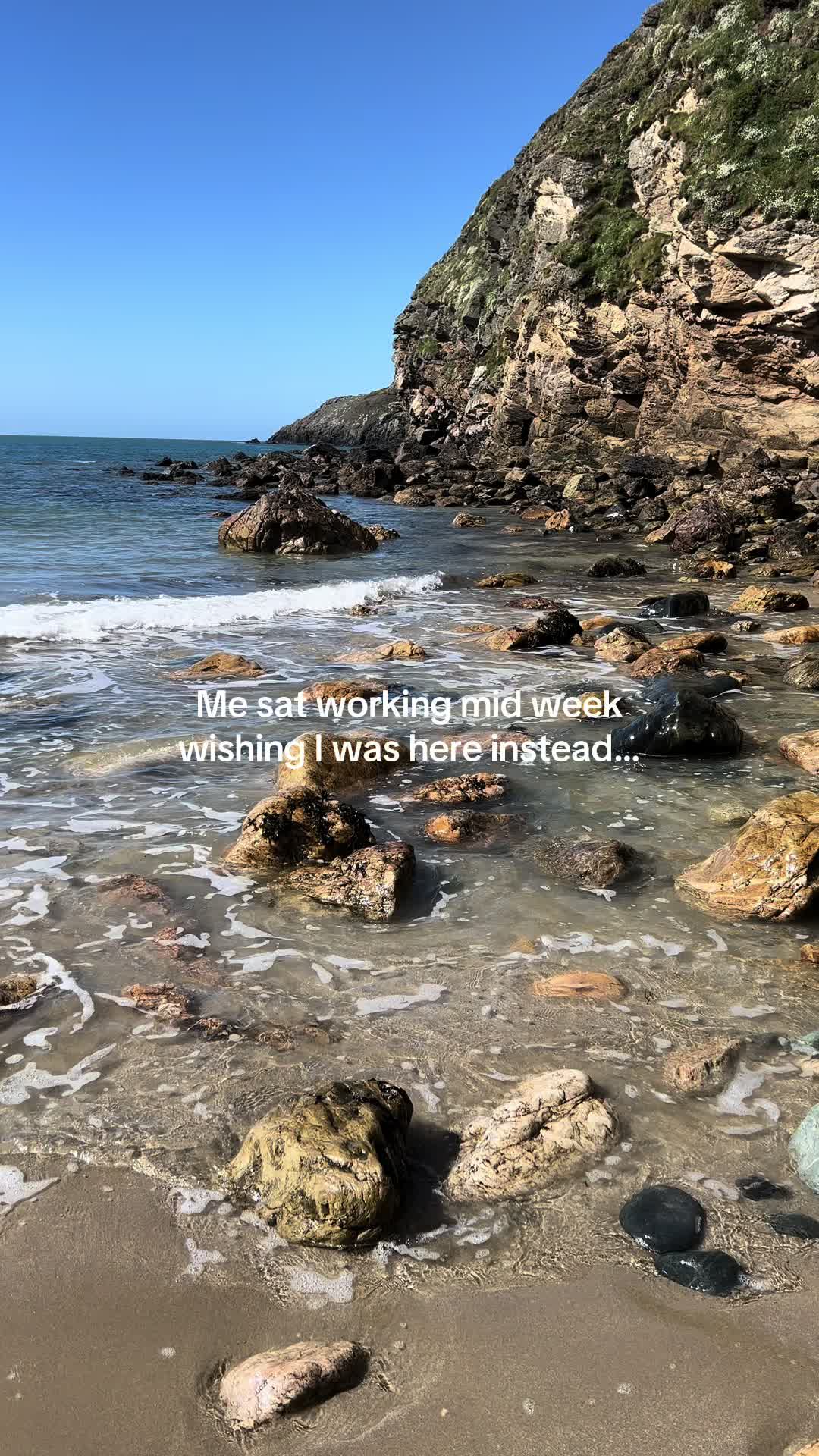 @Lisa | Solo Lifing 🌍🌿
