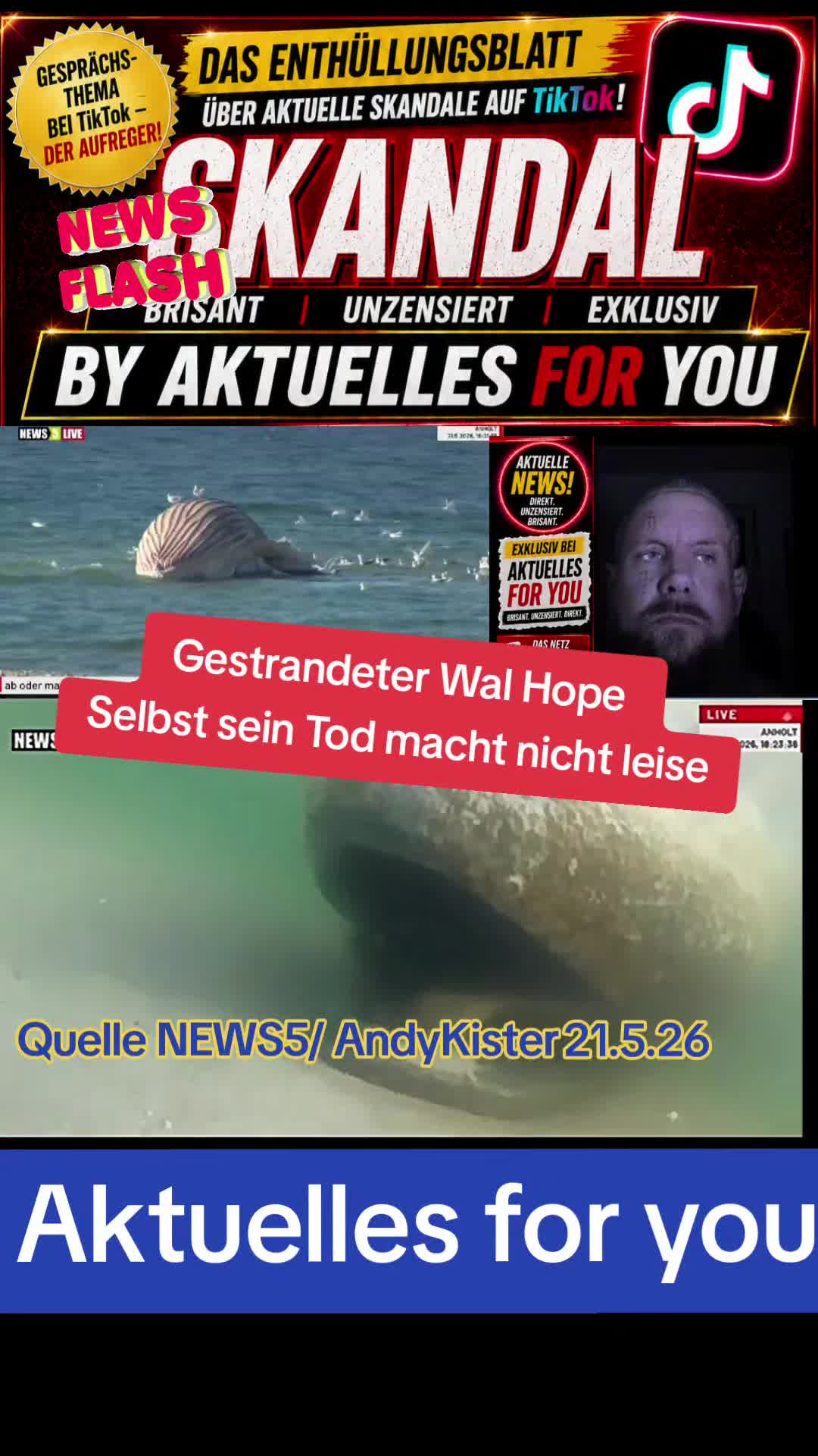 @Aktuelles for you