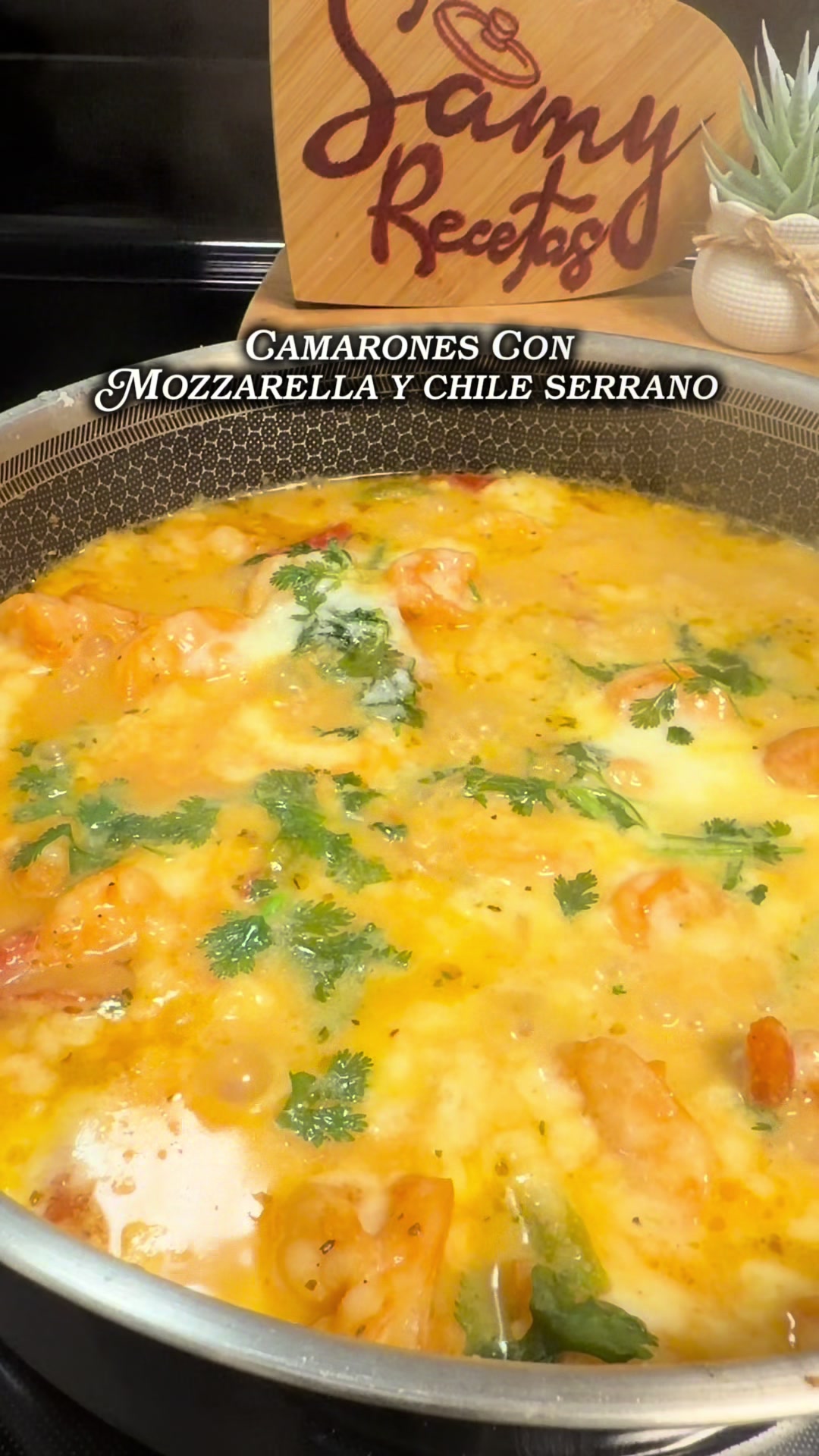 @✨️SamyRecetas👩🍳