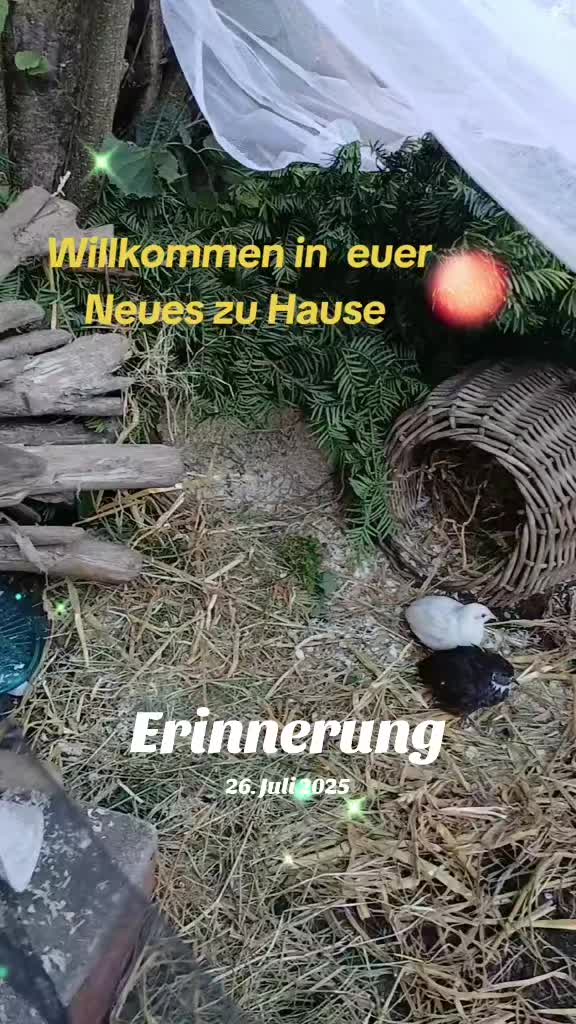 @Simone