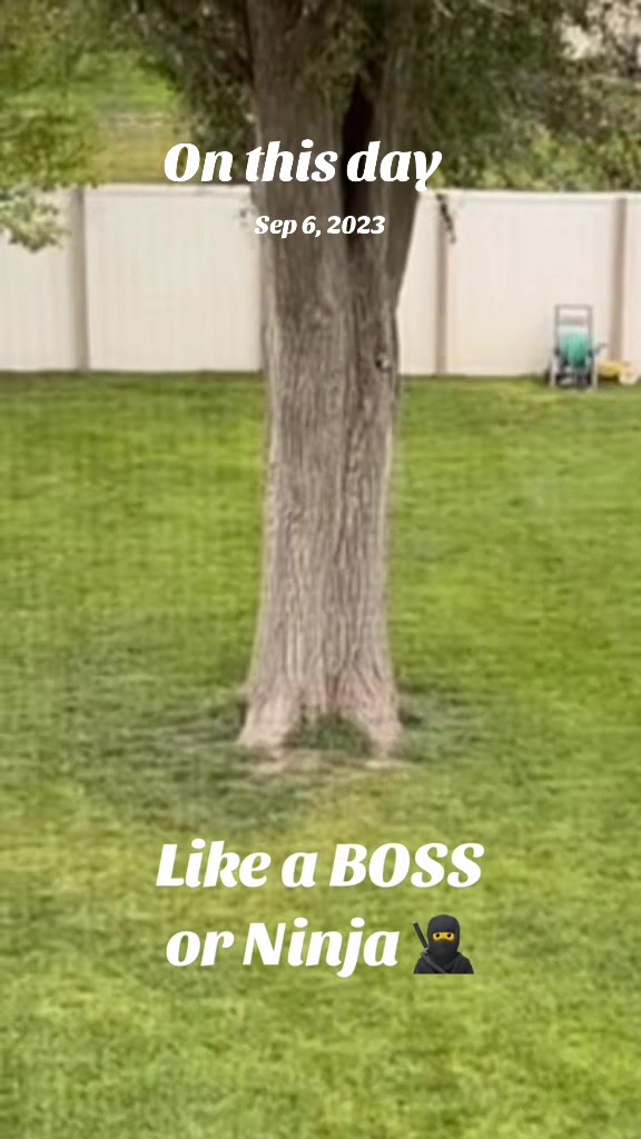 @K9 Dina