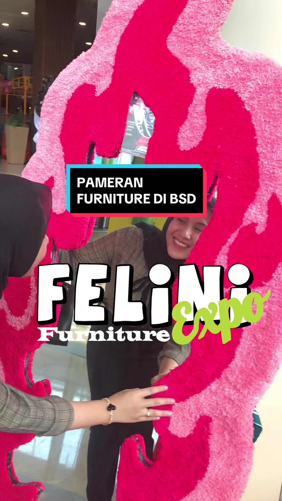 @felinifurniture