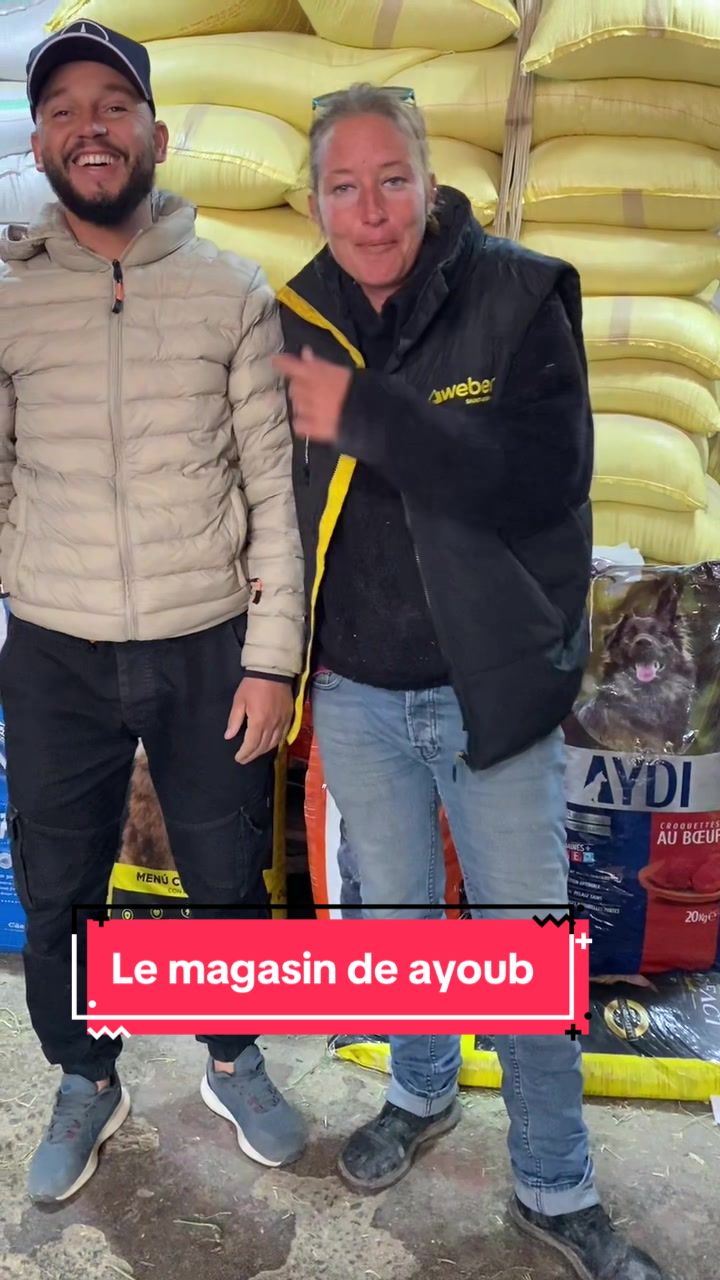 @Les&ensp;&eacute;curies&ensp;de&ensp;la&ensp;roseraie