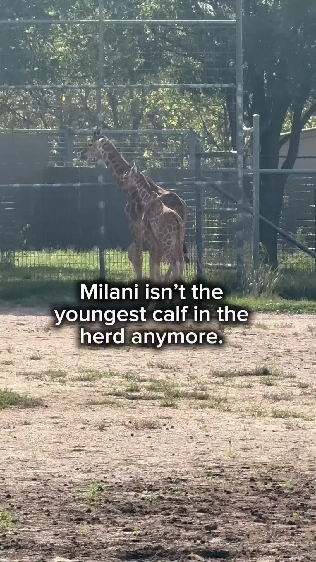 @TanganyikaWildlifePark
