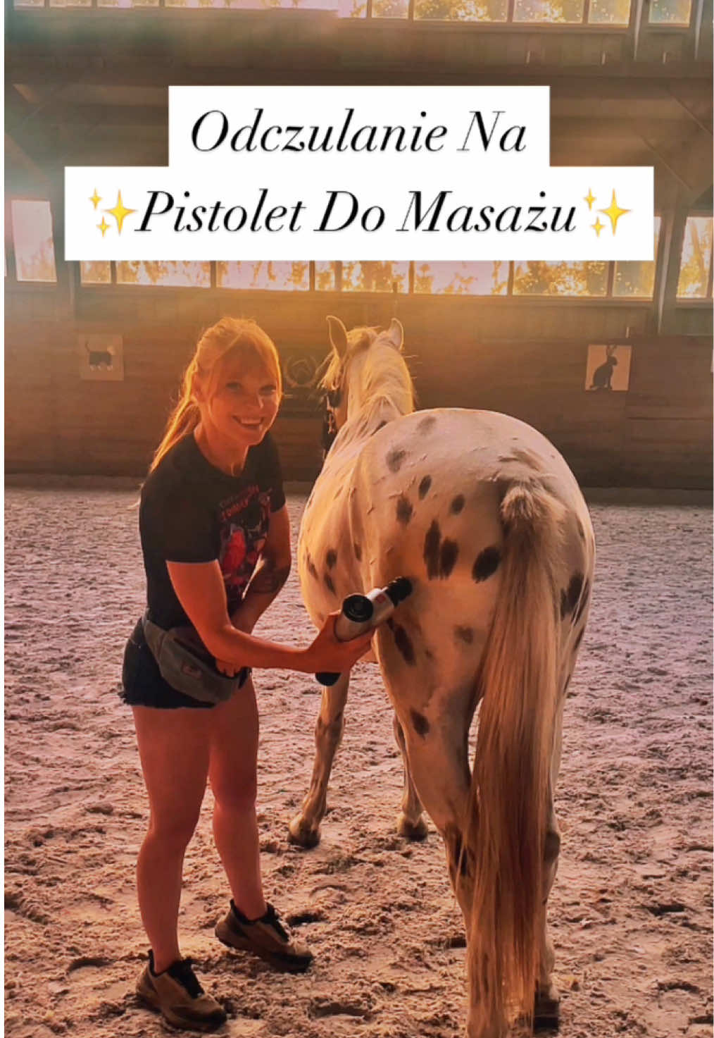 @WS_Trener_Koni_Jeźdźców