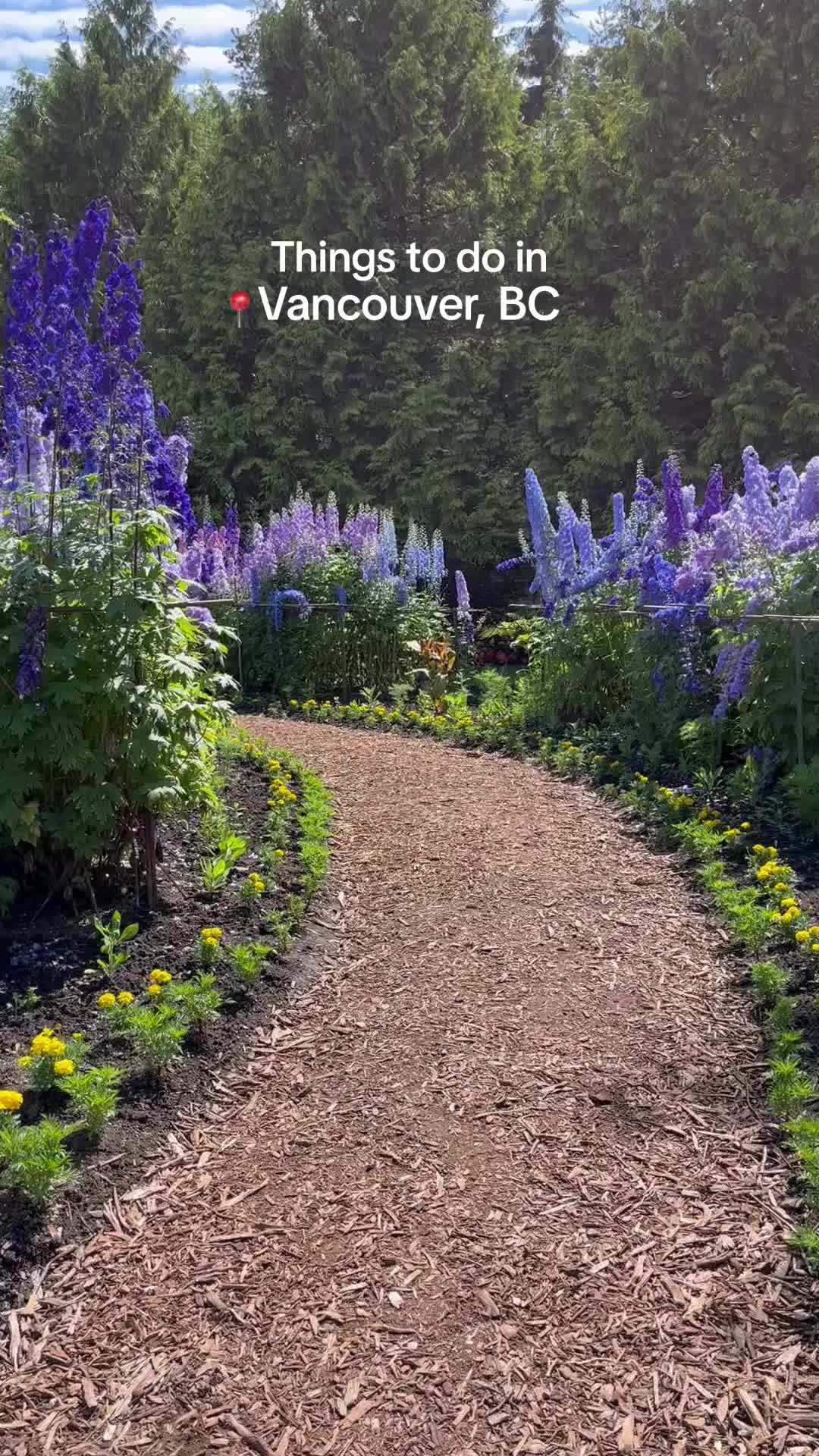 @Super, Natural BC