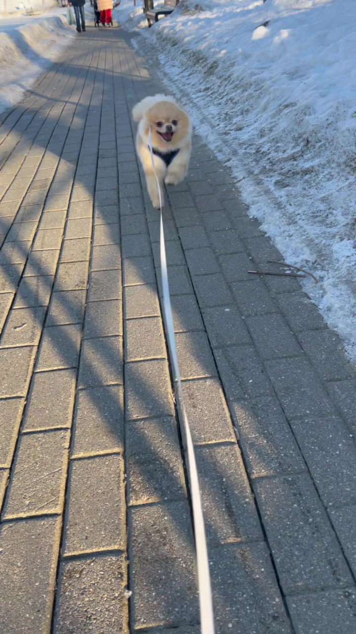 @Вероника Левашова