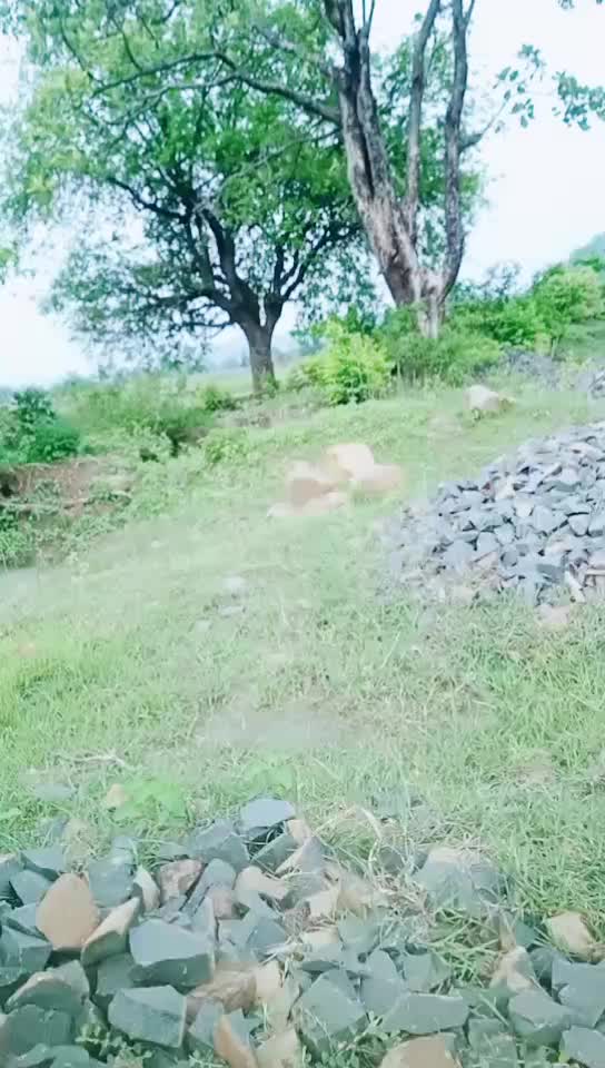 @Anil Birua