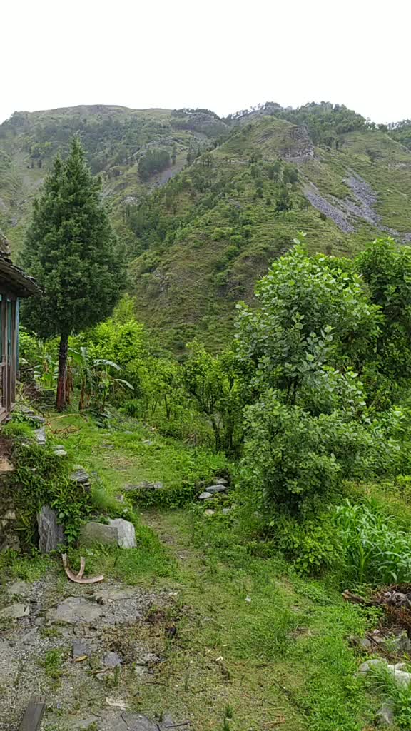 @satpal rawat