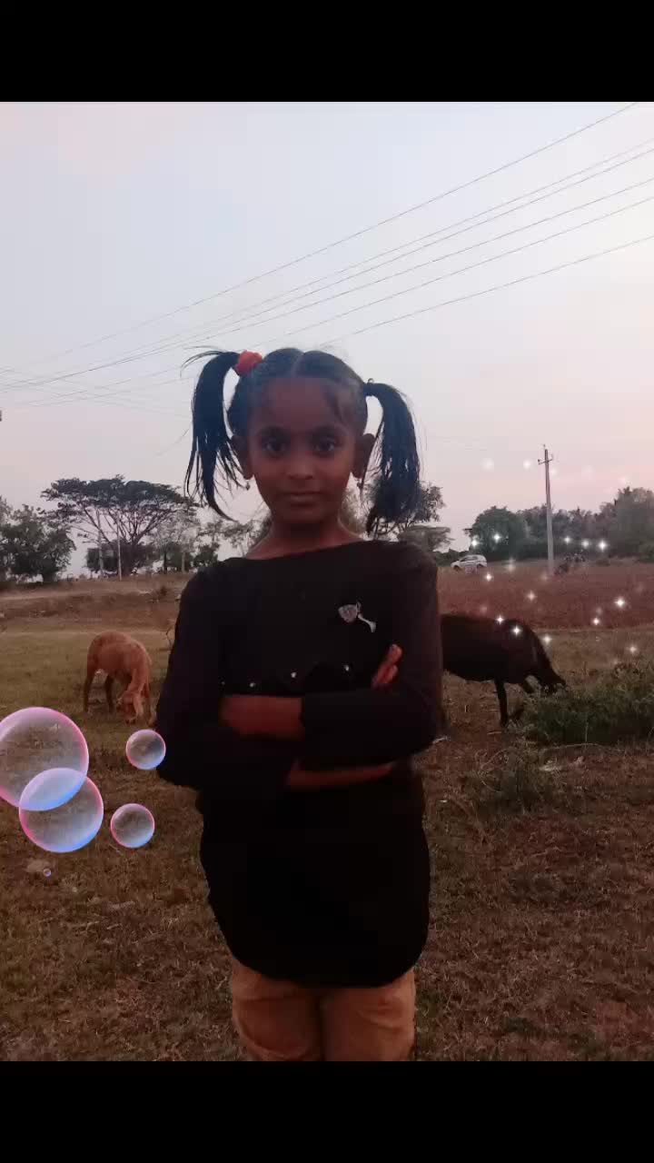 @user9832263727464