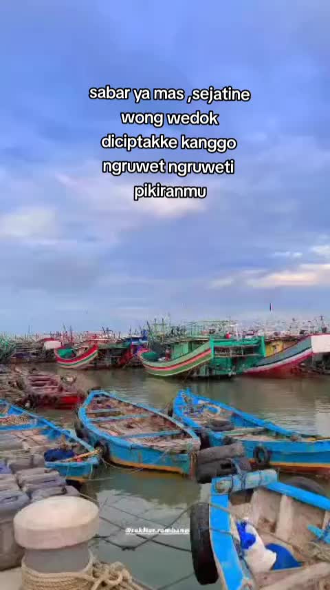 @Hani Rosy