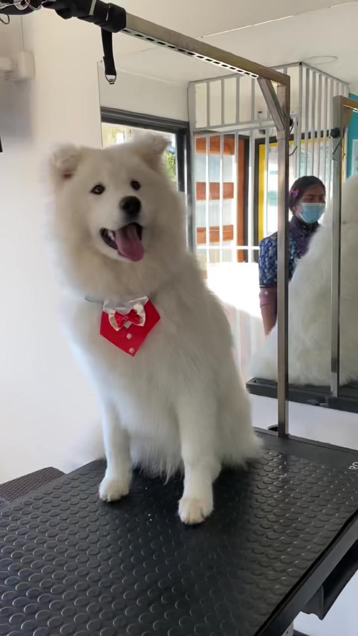 @Gran.kniche🐶