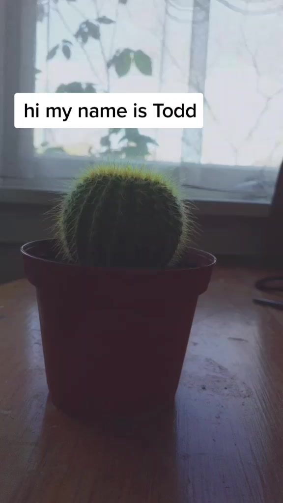 @Todd