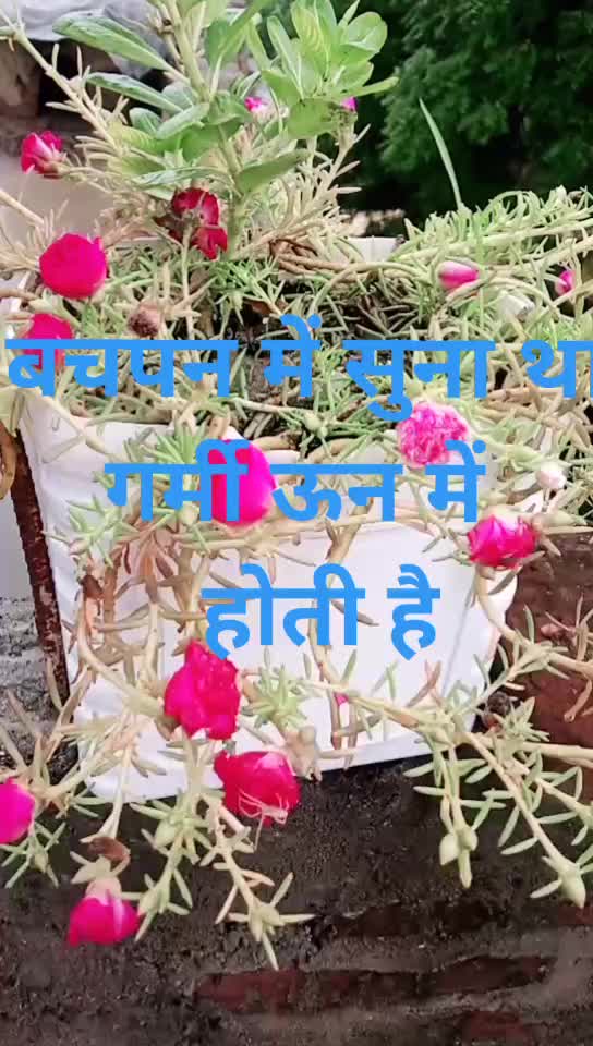 @Babita Kumari