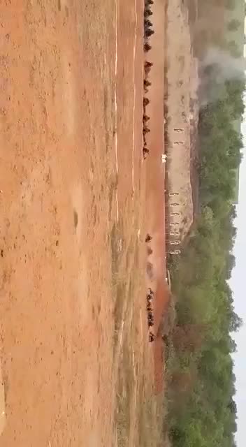 @THIRU_COMMANDO🇮🇳