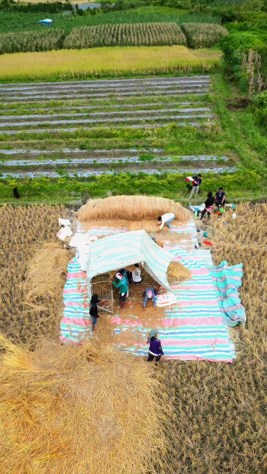 @Sehat Drone