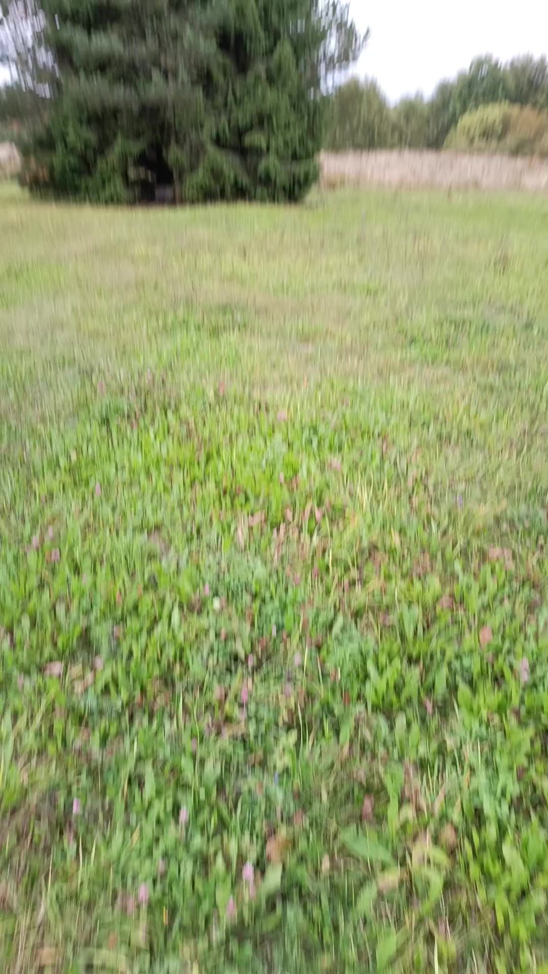 @Амурчик