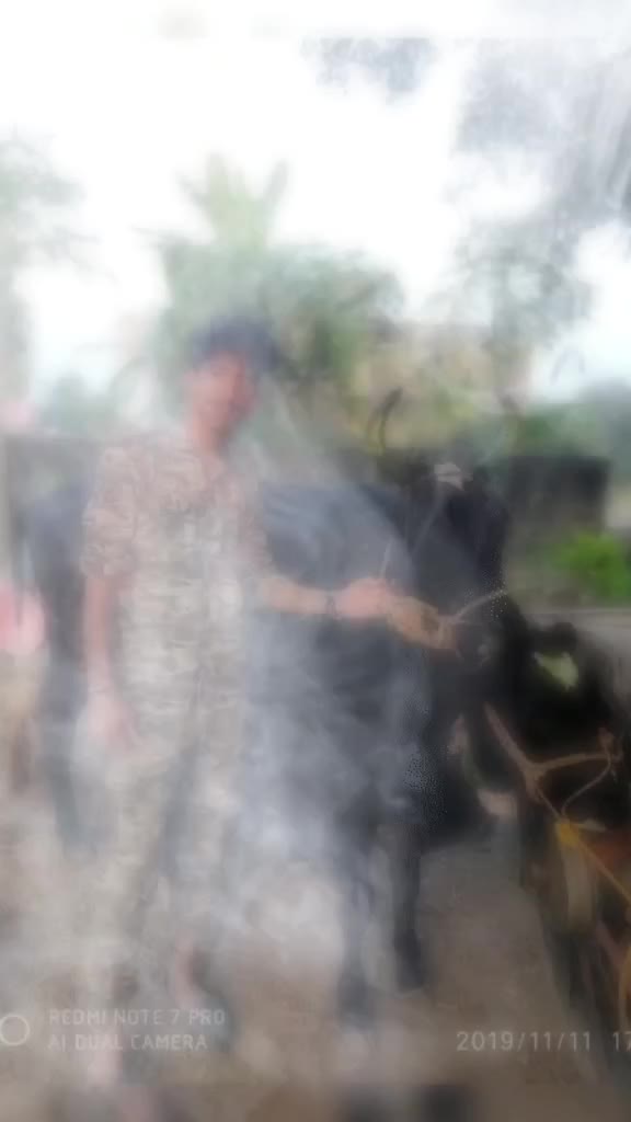 @desi boy 007