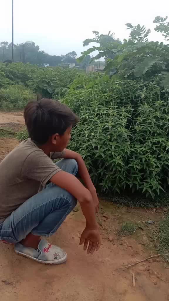 @Indian raja