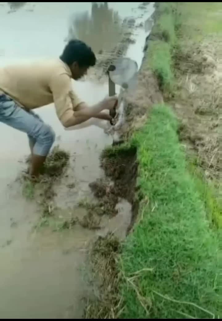 @ᏦᎥᏁᎶ Ꮎf ᎪᏆᏆᎥᏆuᎠᎬ 😏