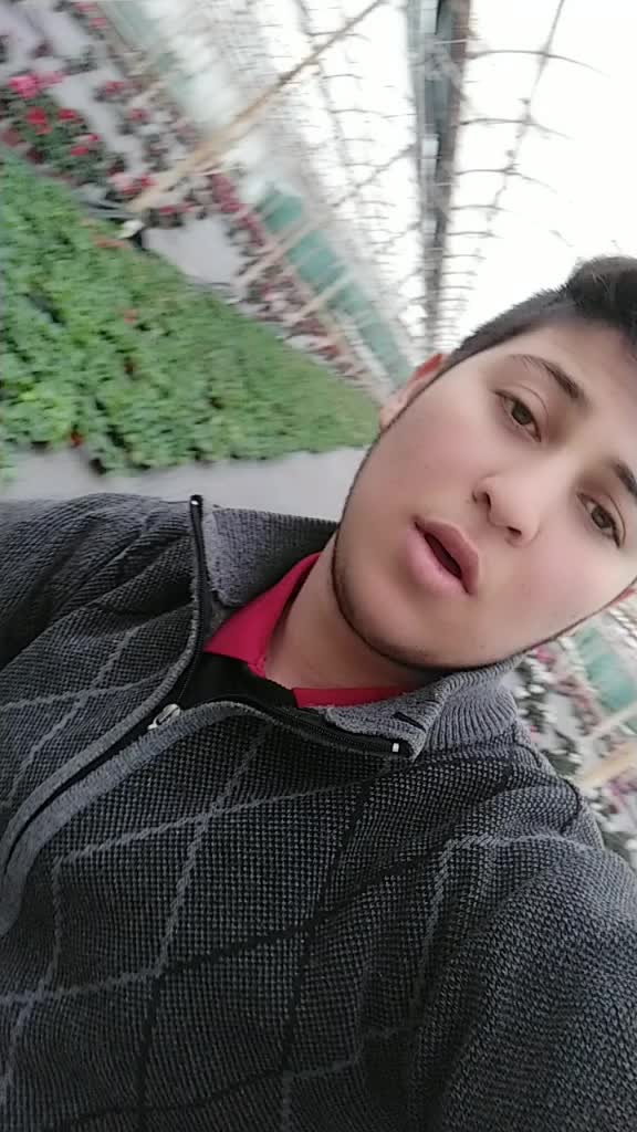 @تسنيم