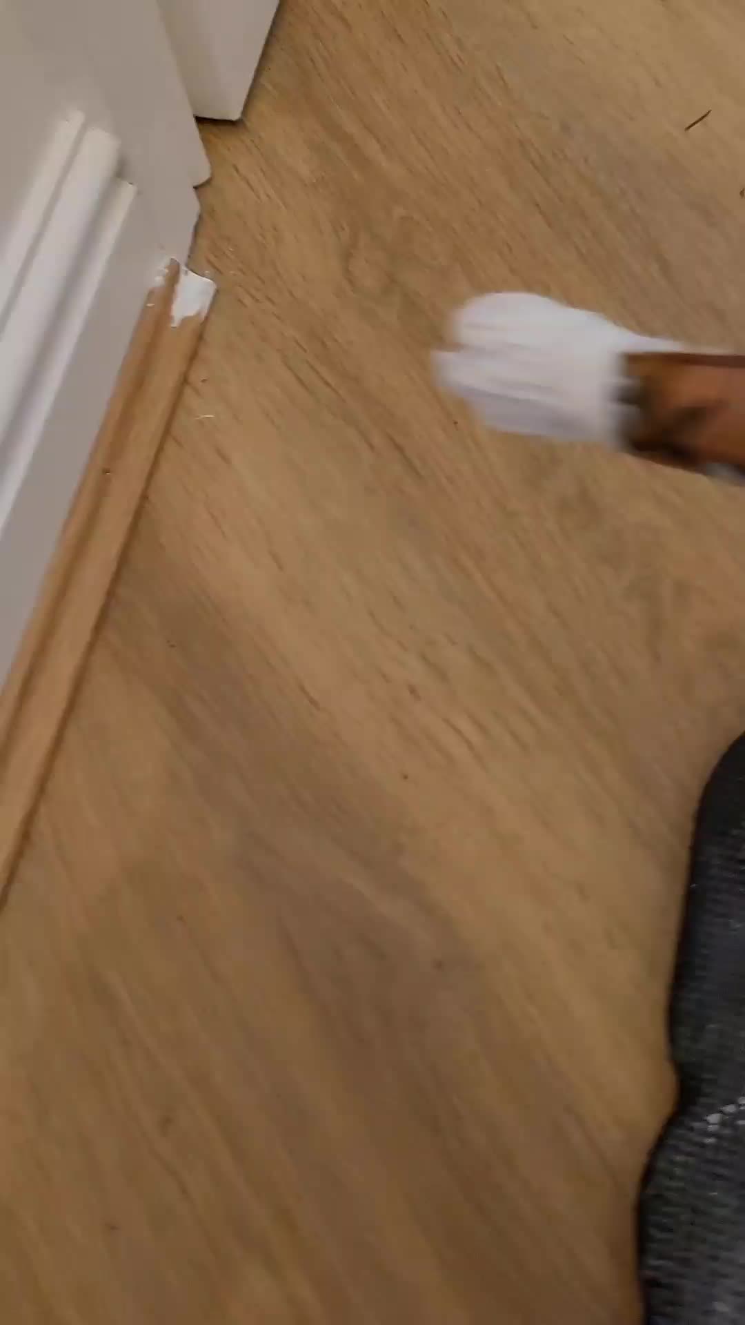 @Mike Malone Painting & Decor