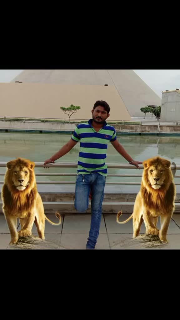 @vaghelauser179558