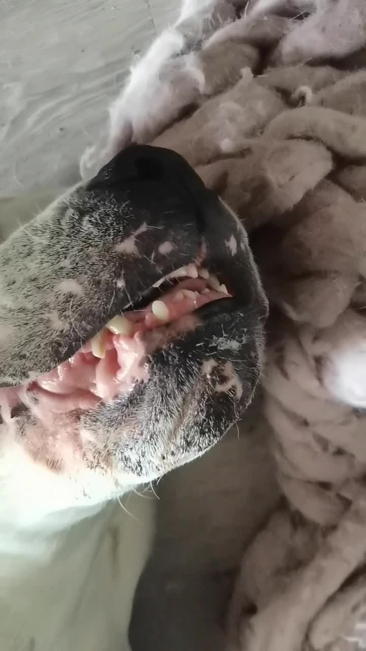@Яна