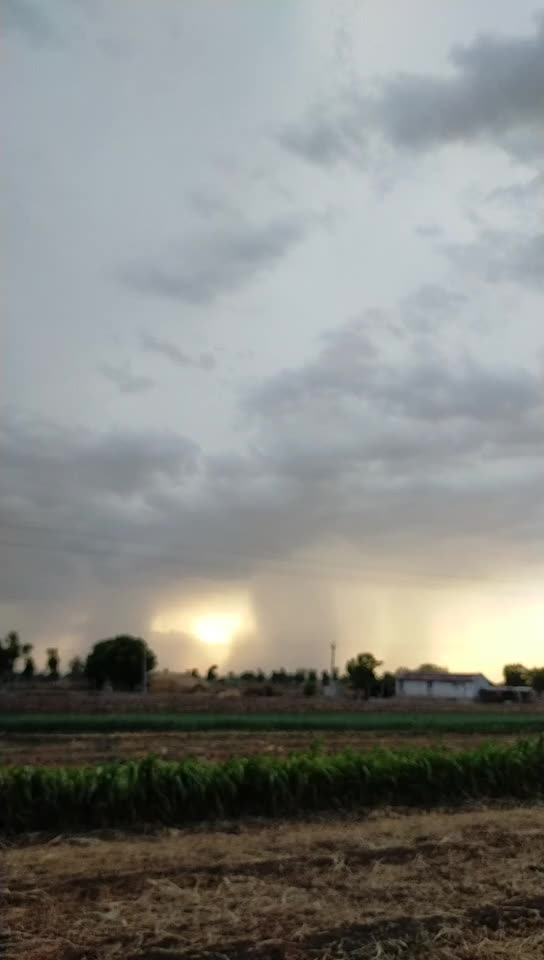 @m. k. limbadiya