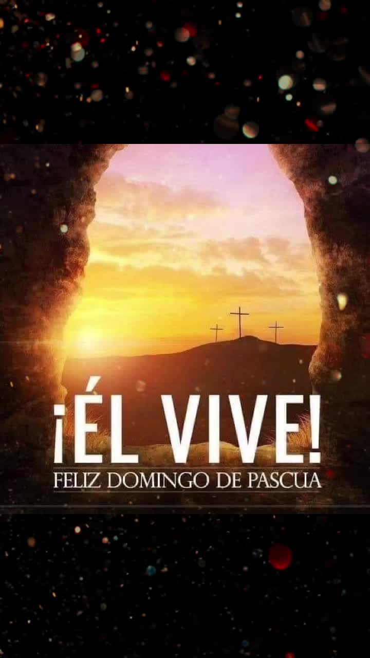 @Pily