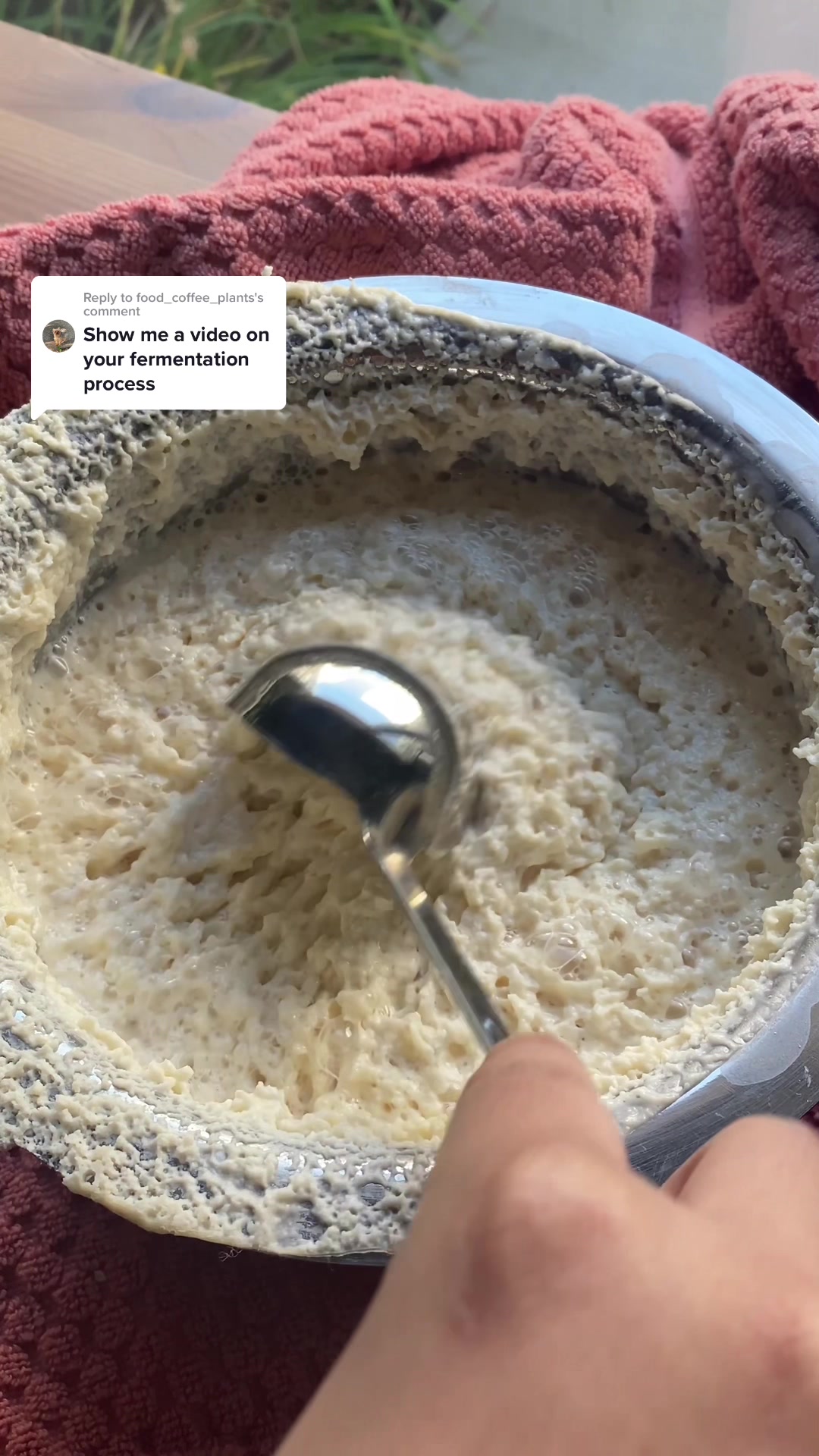 @Alottaspice