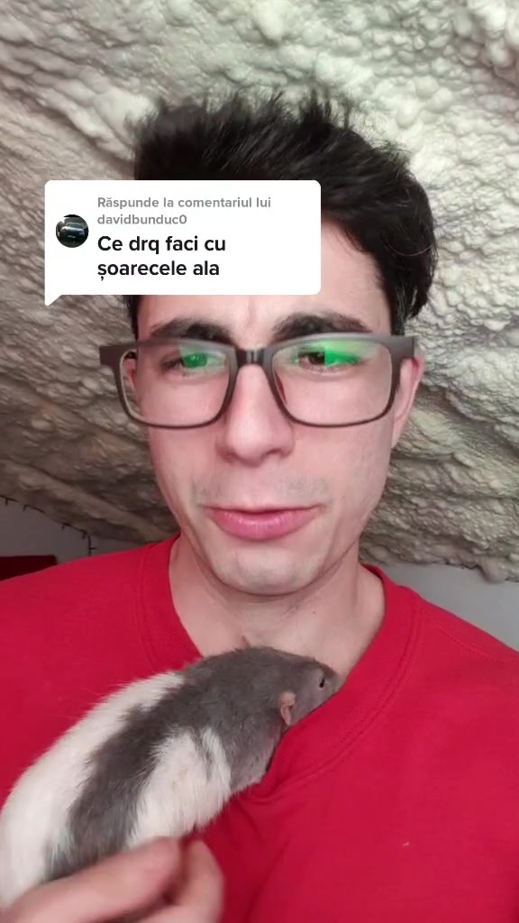 @Bogdan Hriscu