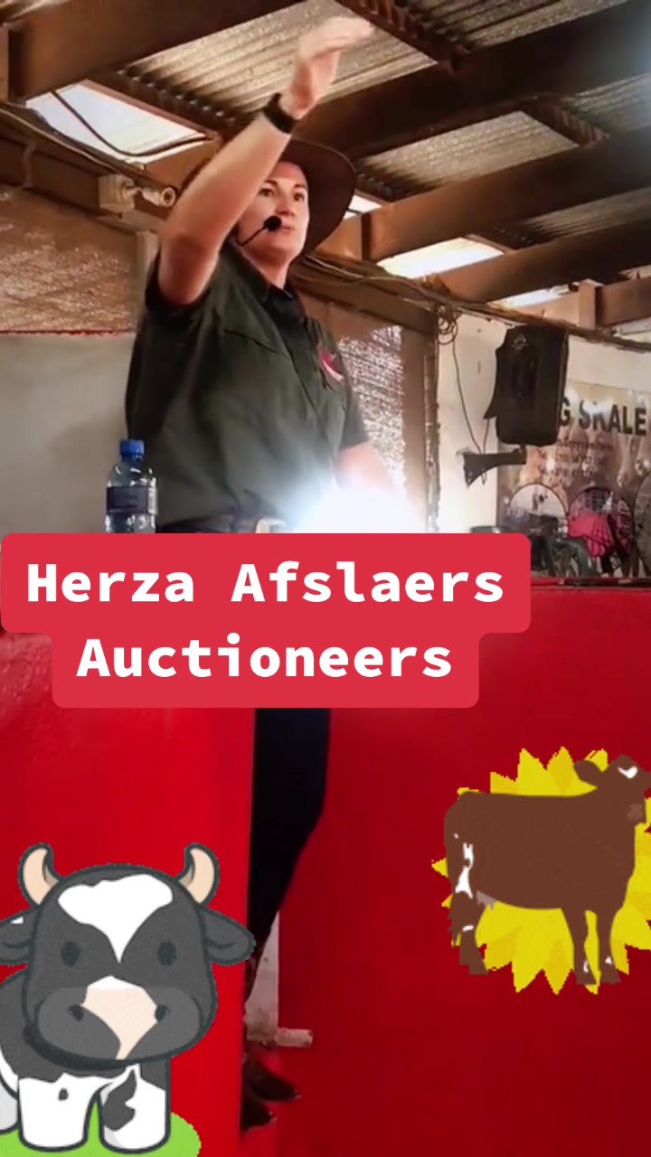 @Herza Auctioneers/Afslaers