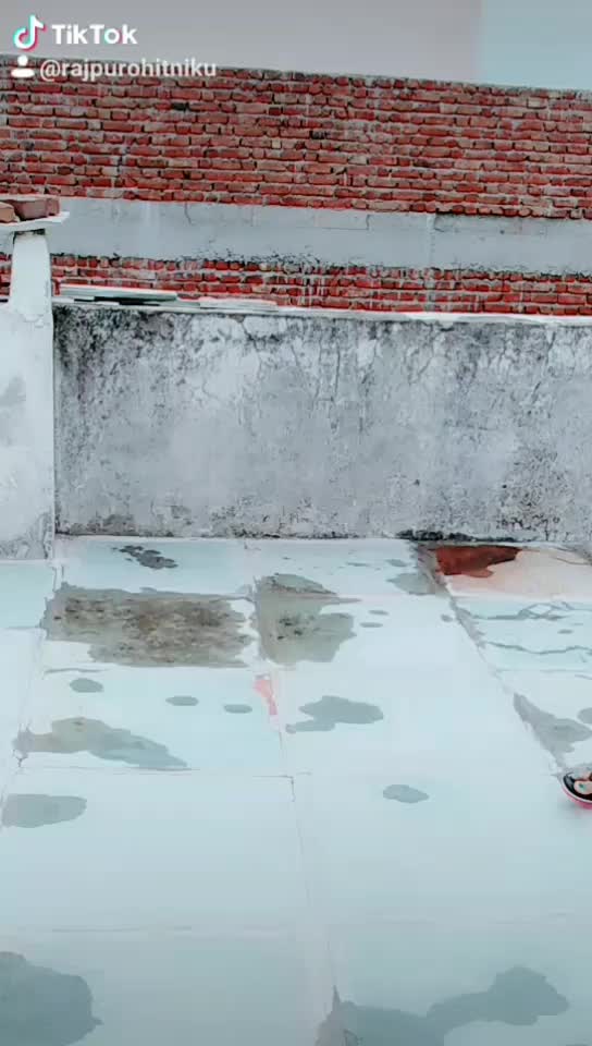 @Rajpurohit